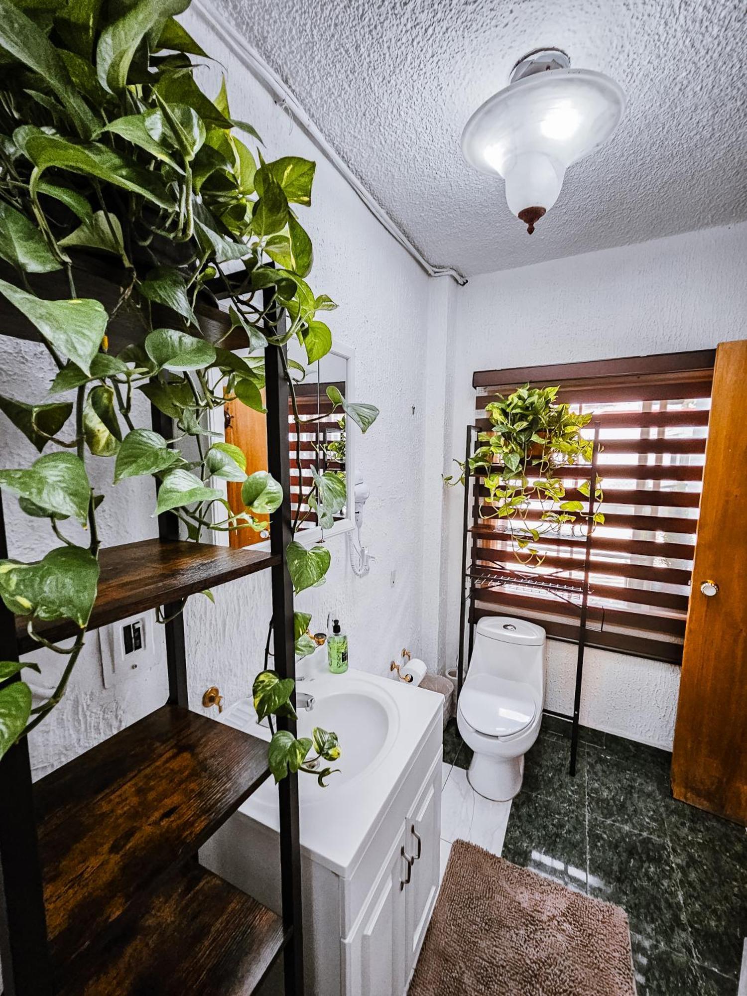 Habitacion Con Bano Privado B, Centro De Coyoacan Ciudad de México Exterior foto